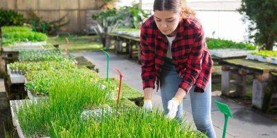 Zahradnice pečuje o rostliny v sadbovači