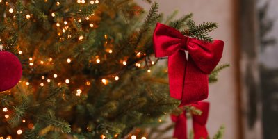 Detail červené mašličky na vánočním stromě