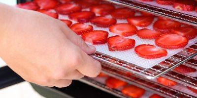 Ženská ruka vkládá tácek s jahodovými plátky do přístroje na dehydrataci ovoce.