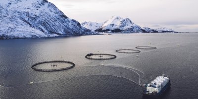 Lov norských lososů z arktických vod