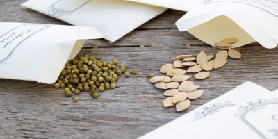 Semena a papírové obálky