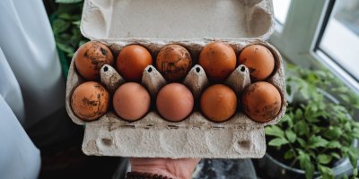 Špinavá slepičí vejce v otevřeném kartonovém obalu