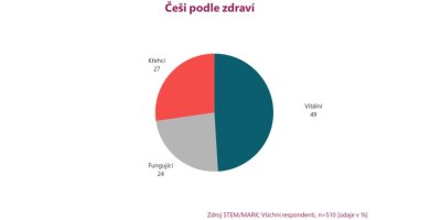 Koláčový graf rozdělující Čechy podle zdraví