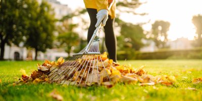 Hrabání listí z trávy