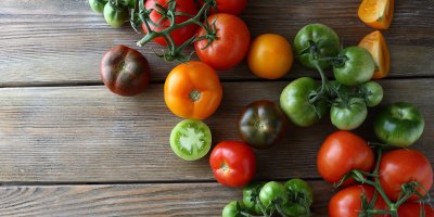 Různá rajčata na stole