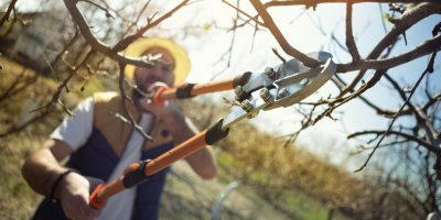 Muž štípá větve na zahradě