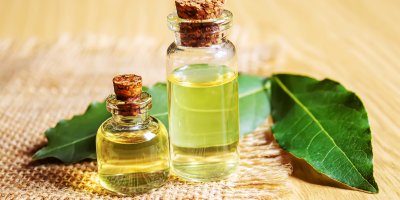 Dvě lahvičky s tinkturou z bobkového listu, v pozadí bobkové listy