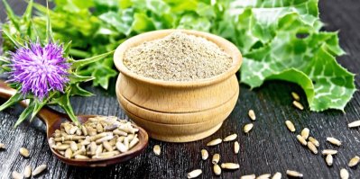 Ostropestřec mariánský