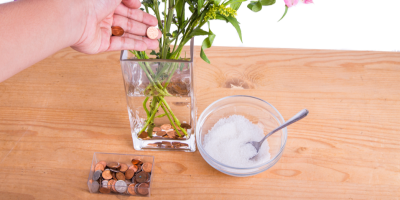 Ruka dává mince do vázy