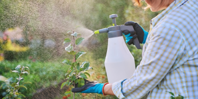Žena postřikuje malý stromek 