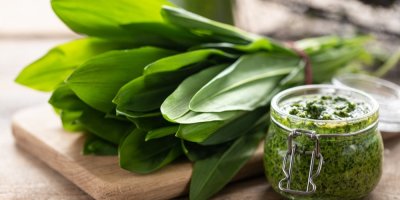 Svazek medvědího česneku, pesto ve skleničce