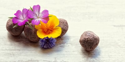 Semínkové kuličky a květiny