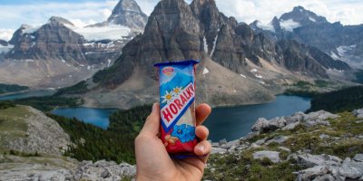 Horalka s horským pozadím