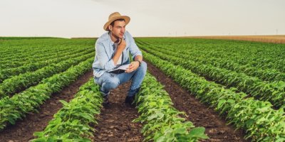 Muž dřepí v brázdě na poli