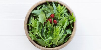 Listy a plody jahodového špenátu v misce