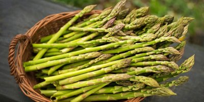 Zelený chřest v košíčku