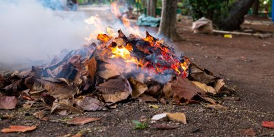 Pálení vlhkého listí