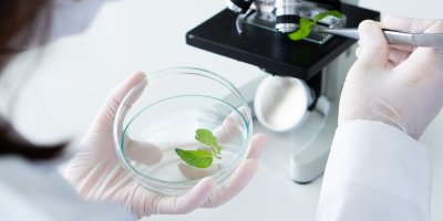 Vědec zkoumá listy rostliny