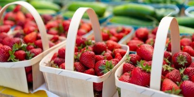 Jahody v košících s držátky