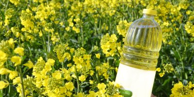 Řepkový olej