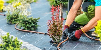 Muž instaluje automatické zavlažování záhonů