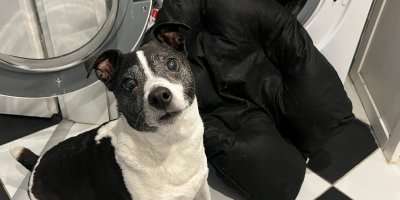 Iva Dušková Zemánková