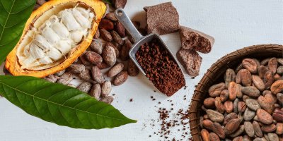 Suroviny, ze kterých se vyrábí čokoláda