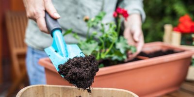 Žena dává substrát do truhlíku s květinami