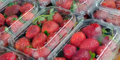 Jahody v plastových krabičkách