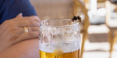 Vosa na okraji sklenice s pivem