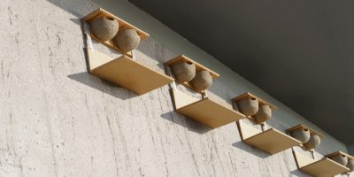 Umělá ptačí hnízda s podložkou na trus