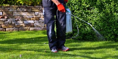 Muž stříká trávník herbicidem