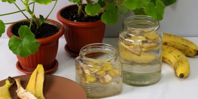 Banánové slupky na talíři a ve vodě