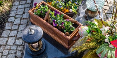 Macešky v květináči na hrobě