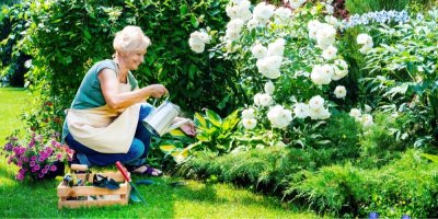 Starší žena zalévá květiny na zahradě