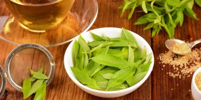 Lístky citronové verbeny na bílé misce a verbenový čaj na dřevěném stole