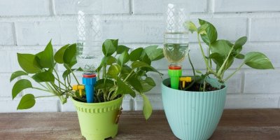 Pokojové rostliny a v květináči zapíchané podomácku vyrobené zavlažování z PET lahví
