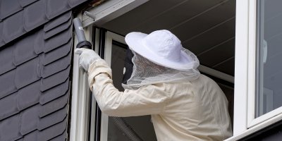 Odborník vysávající vosy a vosí hnízdo vedle okna