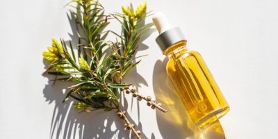 Tea tree olejíček a větvička tea tree 