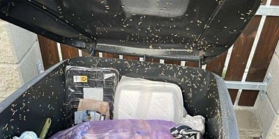 Popelnice plná larev