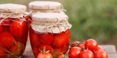 Rajčata naložená ve sklenicích