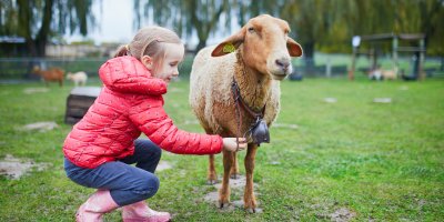 Holčička s ovcí venku