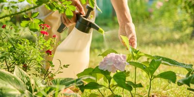 Člověk aplikuje postřik na listy květin