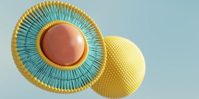 Znázornění fosfolipidů obkopujících vitamínový náklad