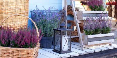 Květináče s vřesem a lucernička