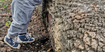 Dítě v teplácích a teniskách v přírodě