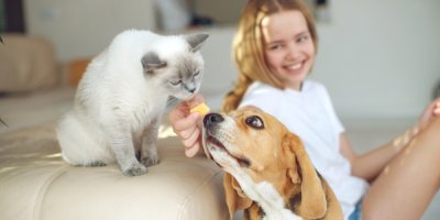 Dívka dává kočce a psovi pamlsek