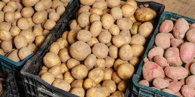 Brambory v bedýnkách