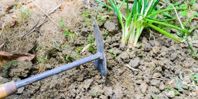 Člověk okopává záhon