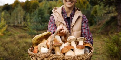 Žena drží velký proutěný koš plný nasbíraných hub